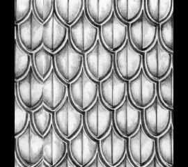 DragonScale